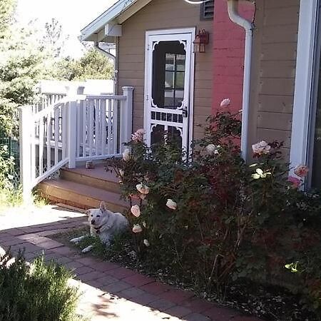 Blue Bird Cottage - Pet Friendly Julian Luaran gambar