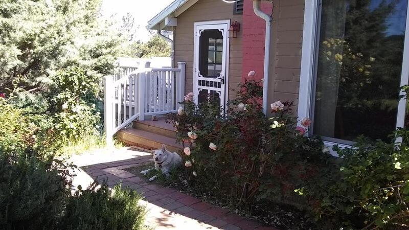 Blue Bird Cottage - Pet Friendly Julian Luaran gambar